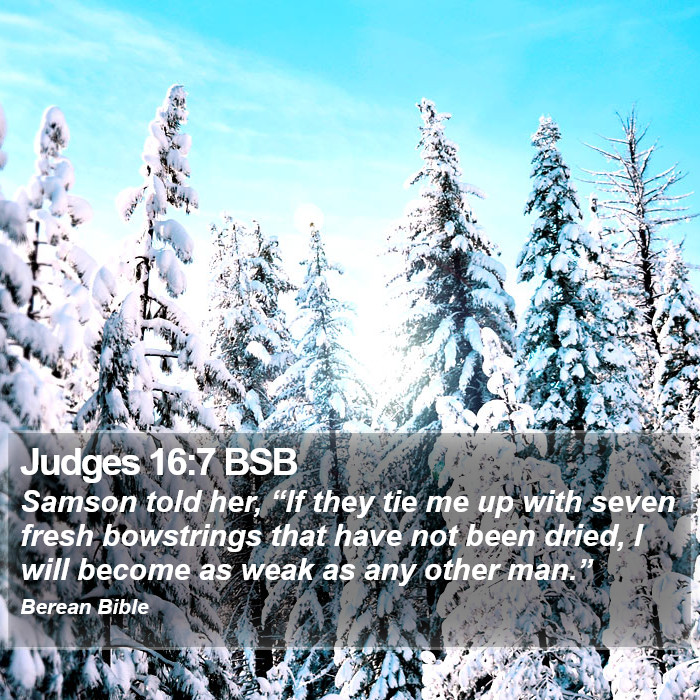 Judges 16:7 BSB Bible Study