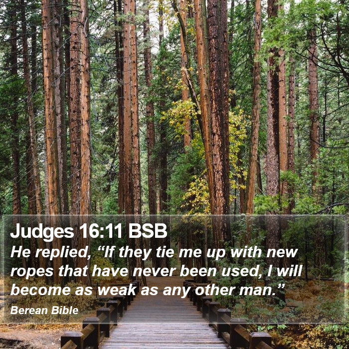 Judges 16:11 BSB Bible Study