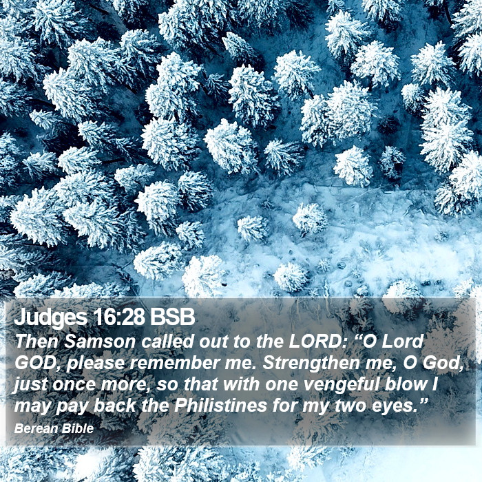 Judges 16:28 BSB Bible Study