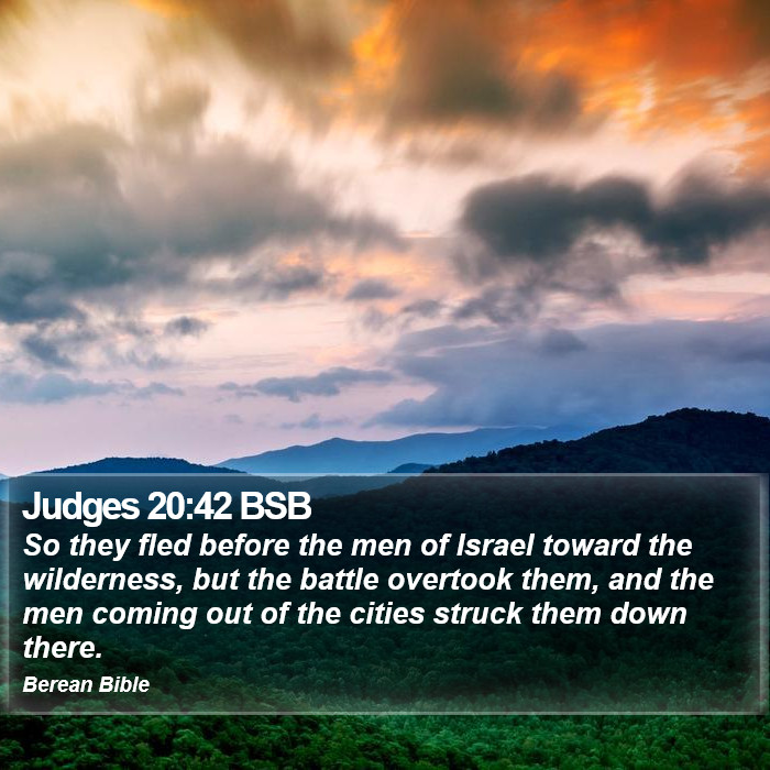 Judges 20:42 BSB Bible Study