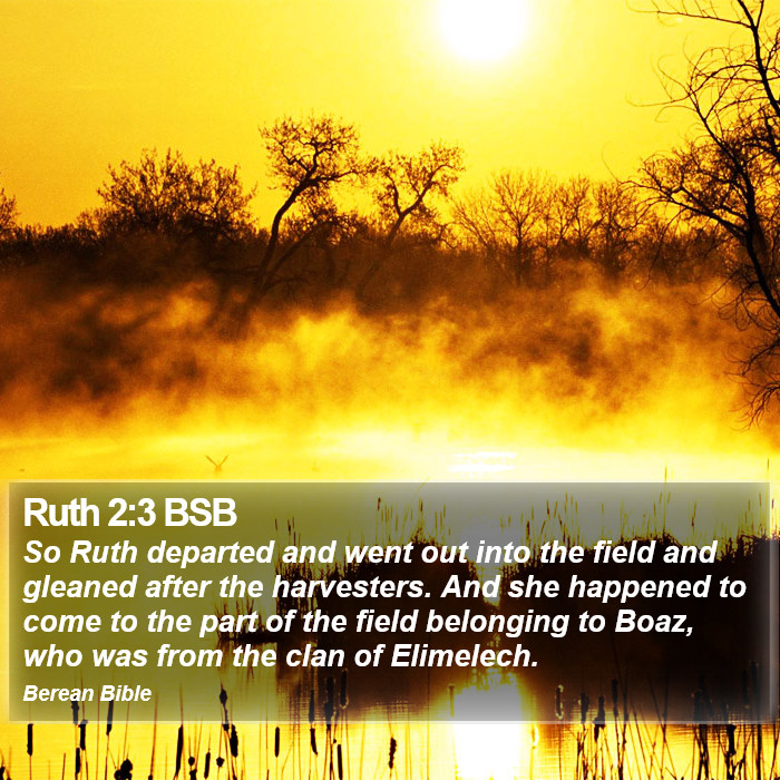 Ruth 2:3 BSB Bible Study