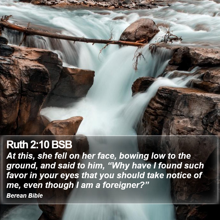 Ruth 2:10 BSB Bible Study