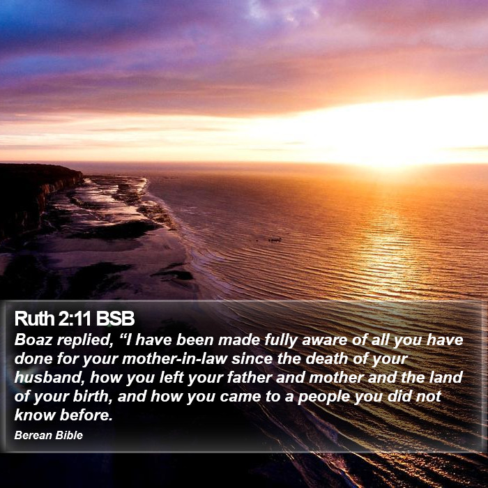 Ruth 2:11 BSB Bible Study