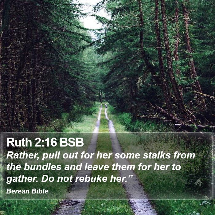 Ruth 2:16 BSB Bible Study