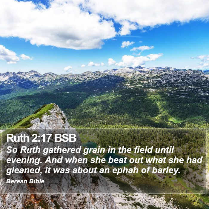 Ruth 2:17 BSB Bible Study