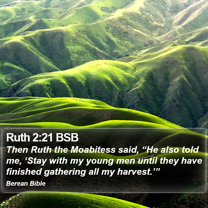 Ruth 2:21 BSB Bible Study