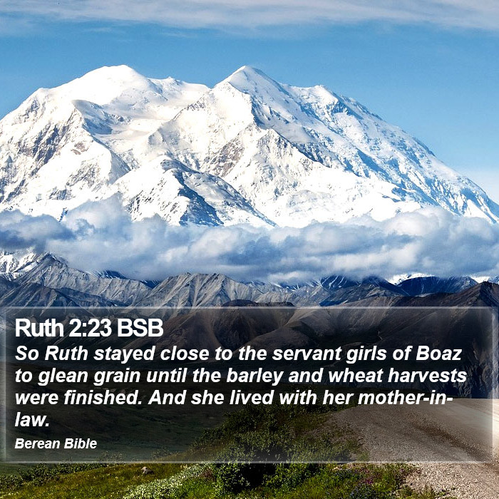 Ruth 2:23 BSB Bible Study