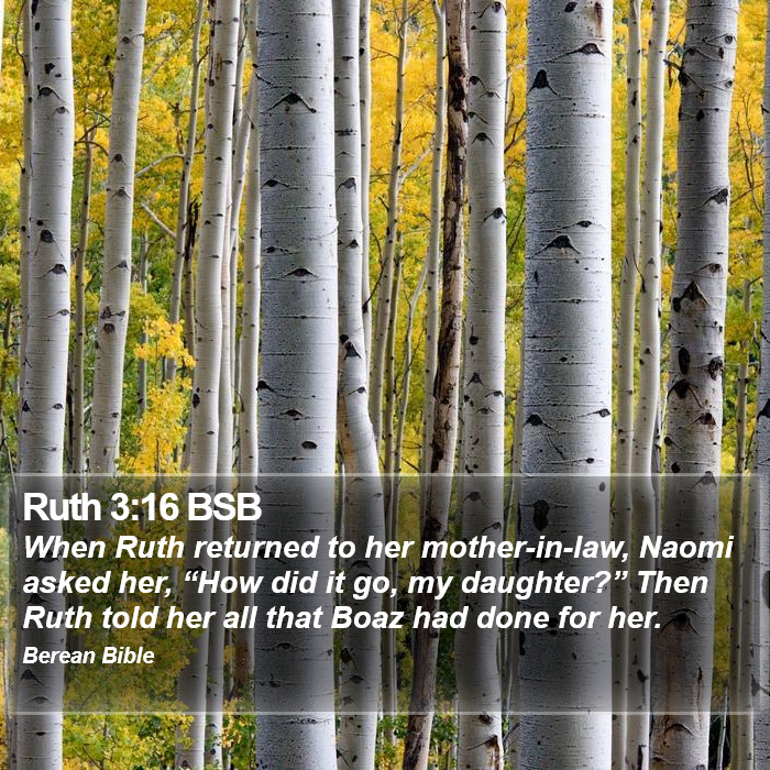 Ruth 3:16 BSB Bible Study