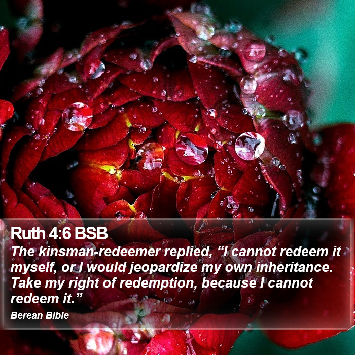 Ruth 4:6 BSB Bible Study