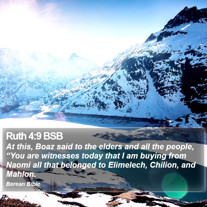 Ruth 4:9 BSB Bible Study