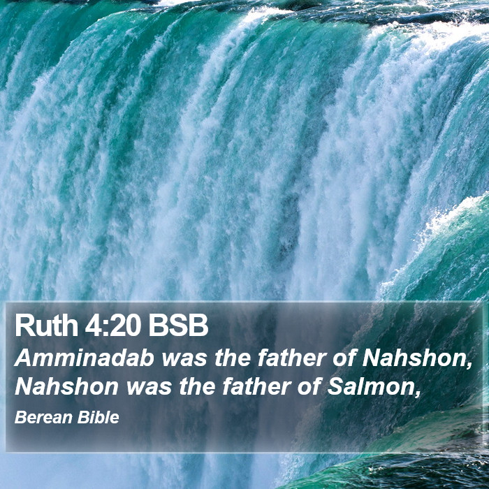 Ruth 4:20 BSB Bible Study