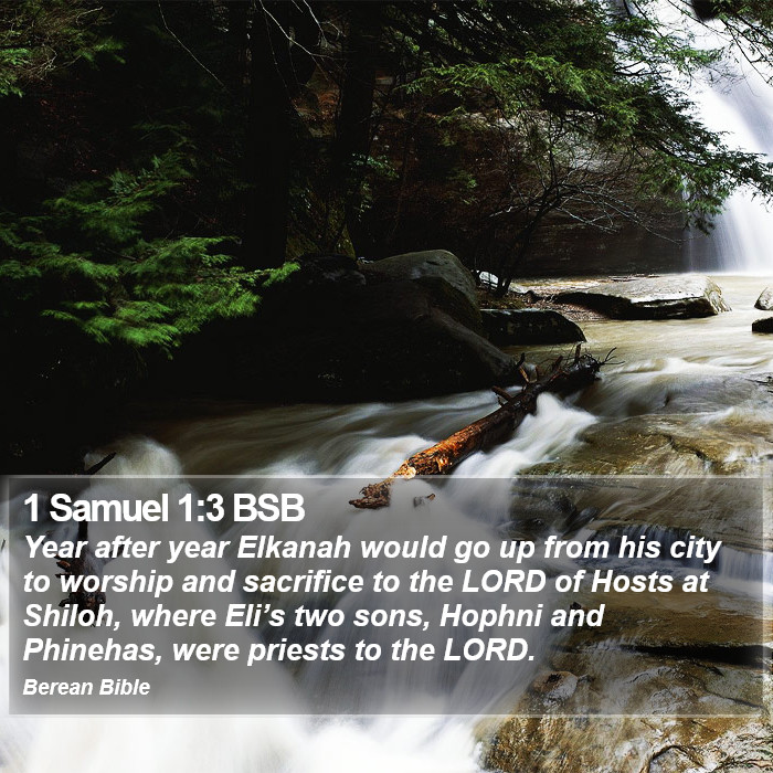 1 Samuel 1:3 BSB Bible Study