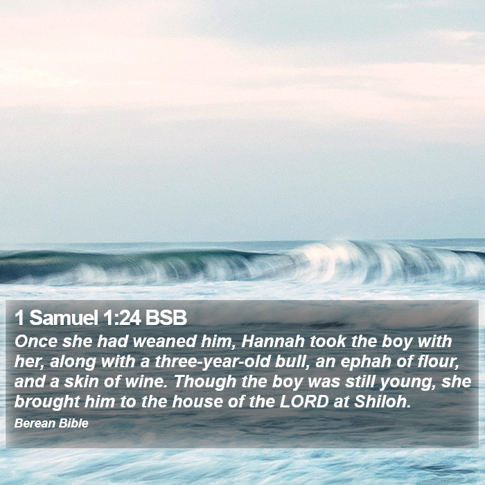 1 Samuel 1:24 BSB Bible Study