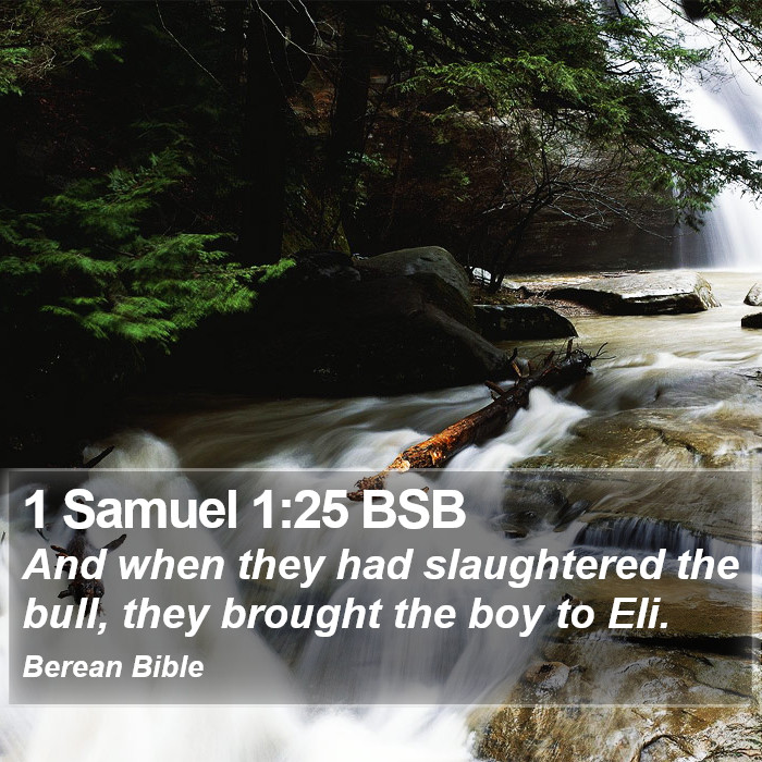 1 Samuel 1:25 BSB Bible Study