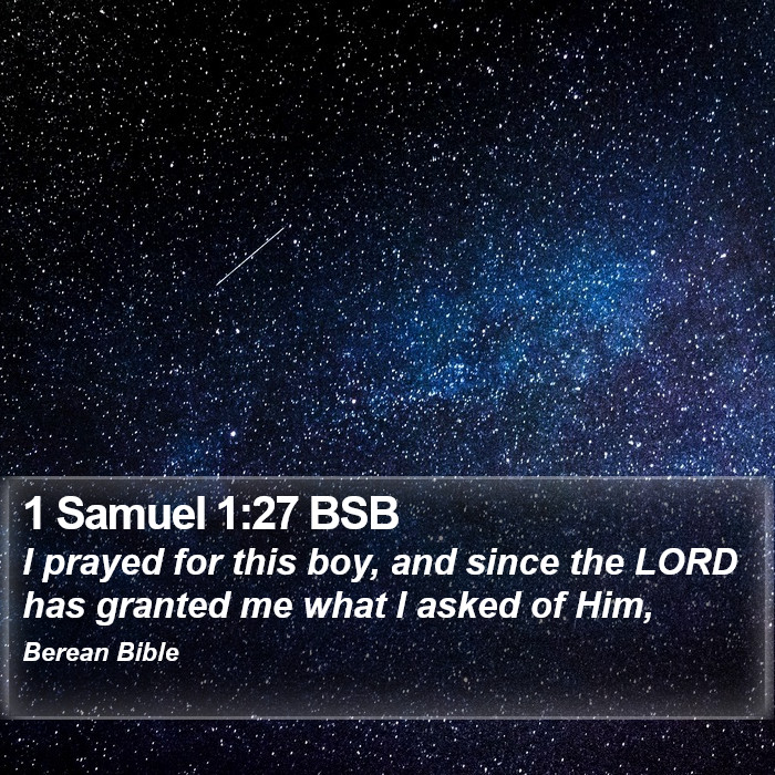 1 Samuel 1:27 BSB Bible Study