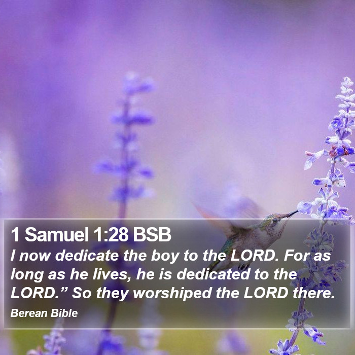 1 Samuel 1:28 BSB Bible Study