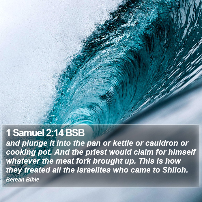 1 Samuel 2:14 BSB Bible Study