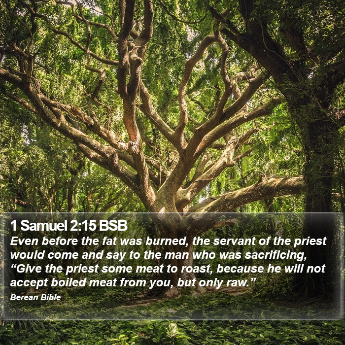 1 Samuel 2:15 BSB Bible Study