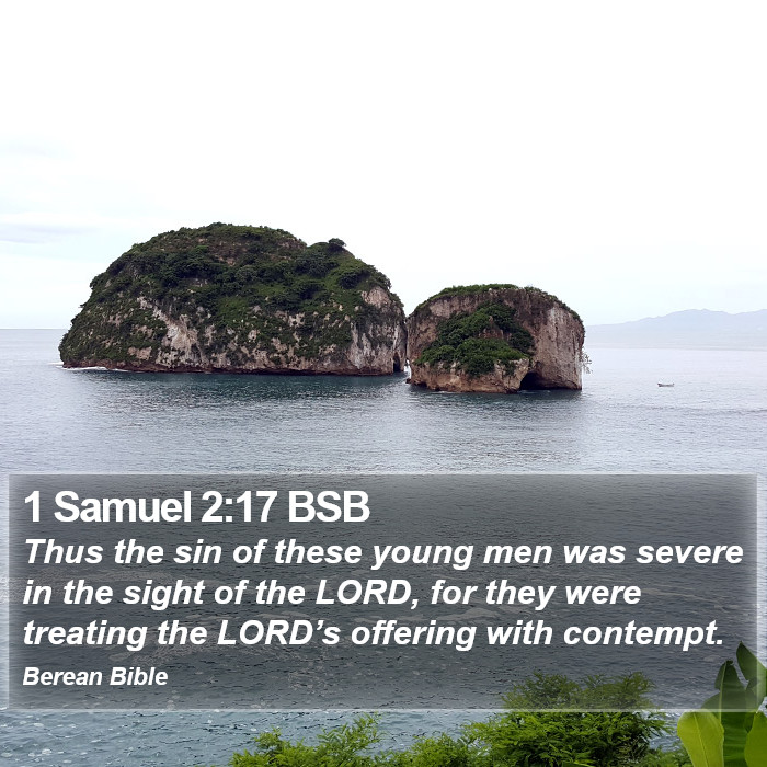 1 Samuel 2:17 BSB Bible Study