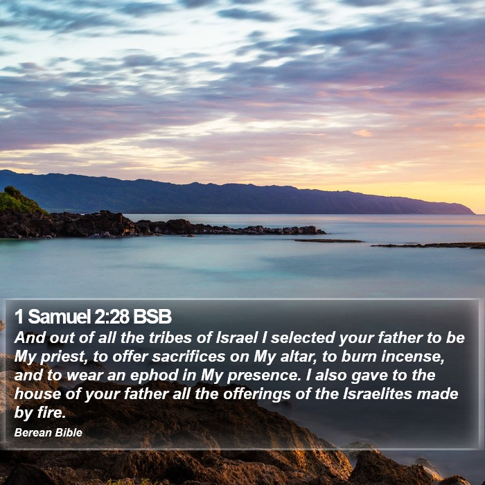 1 Samuel 2:28 BSB Bible Study