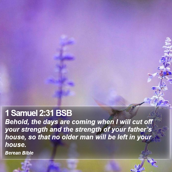 1 Samuel 2:31 BSB Bible Study