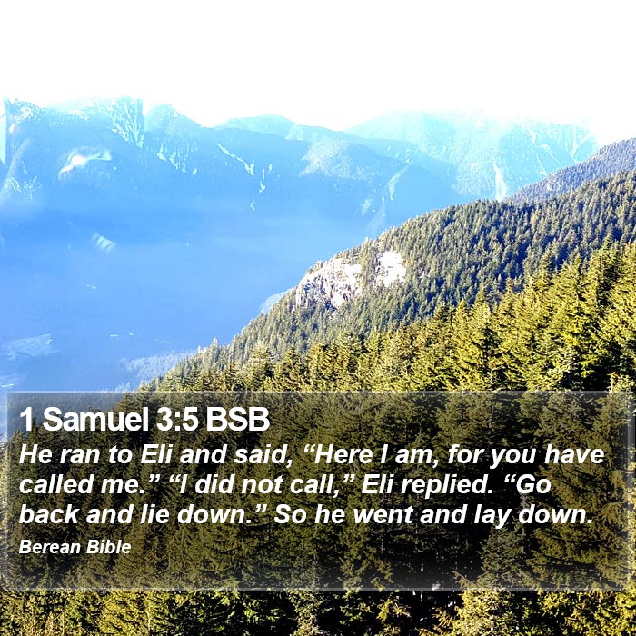 1 Samuel 3:5 BSB Bible Study