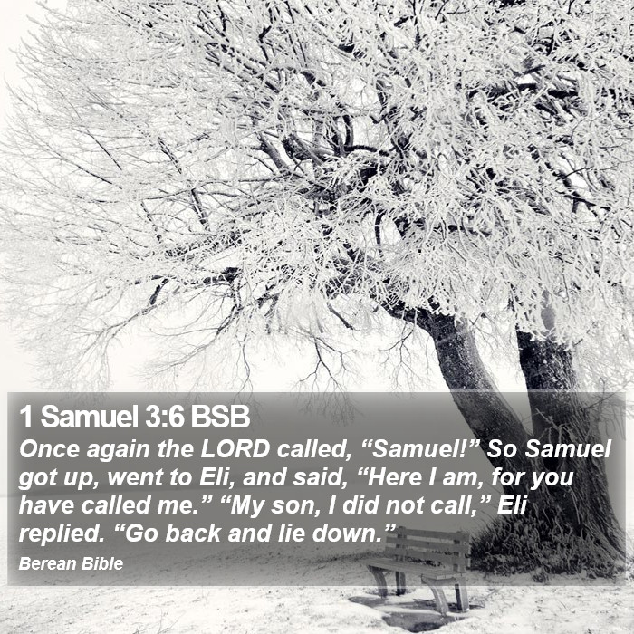 1 Samuel 3:6 BSB Bible Study