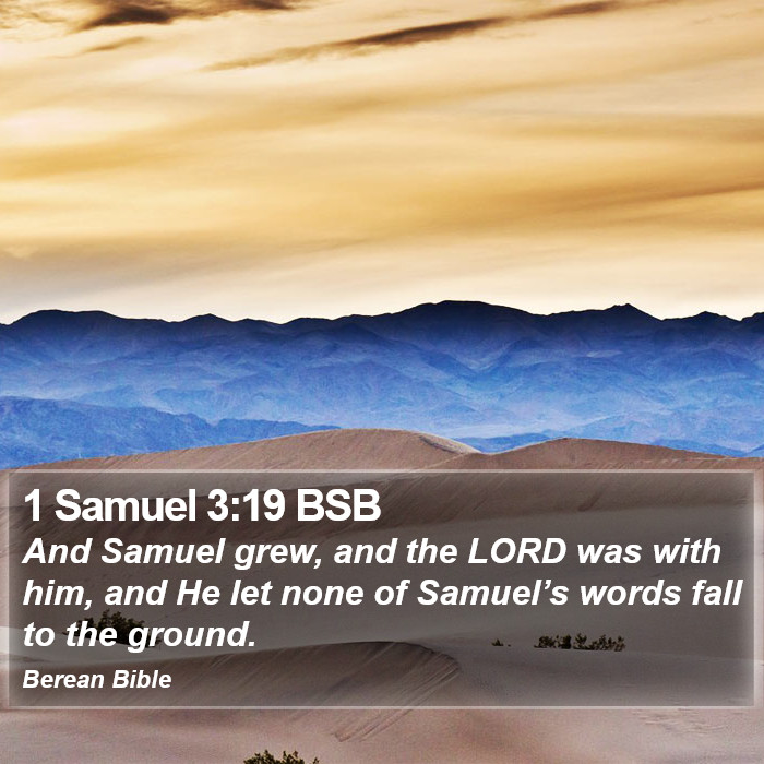 1 Samuel 3:19 BSB Bible Study