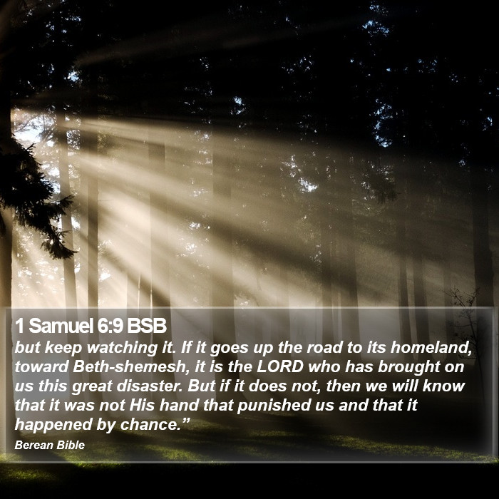 1 Samuel 6:9 BSB Bible Study