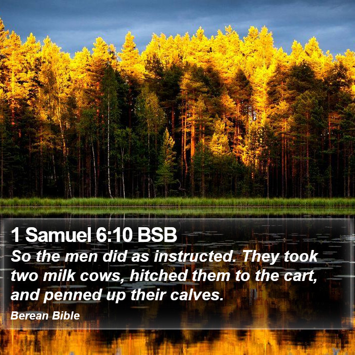 1 Samuel 6:10 BSB Bible Study