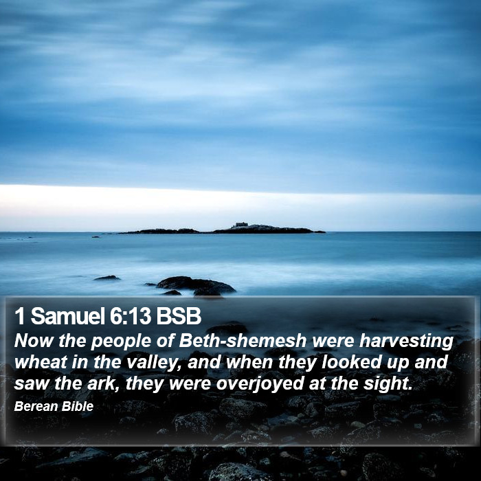 1 Samuel 6:13 BSB Bible Study