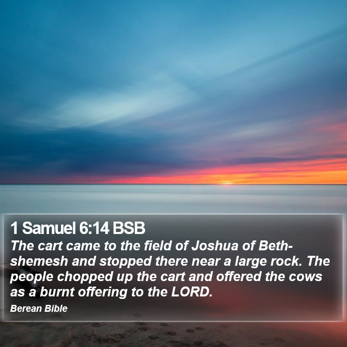 1 Samuel 6:14 BSB Bible Study