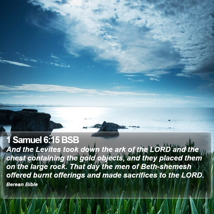 1 Samuel 6:15 BSB Bible Study