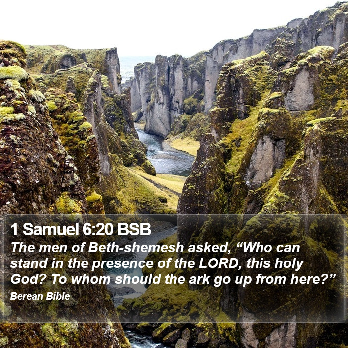 1 Samuel 6:20 BSB Bible Study