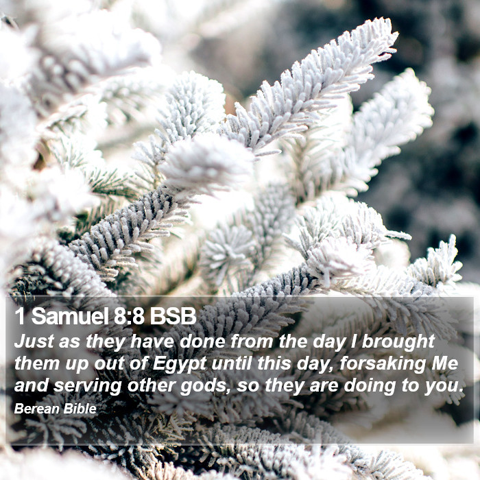 1 Samuel 8:8 BSB Bible Study