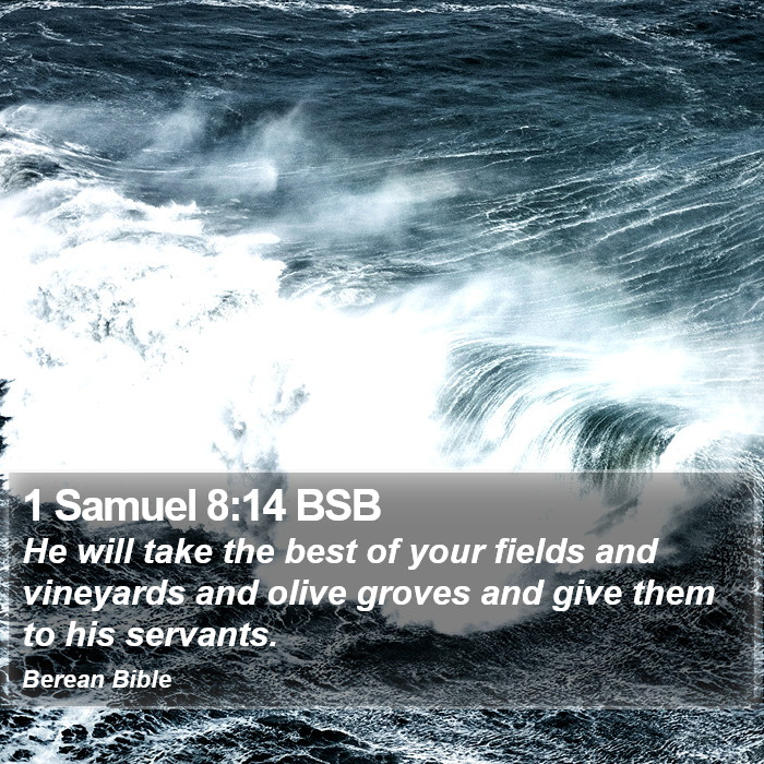 1 Samuel 8:14 BSB Bible Study