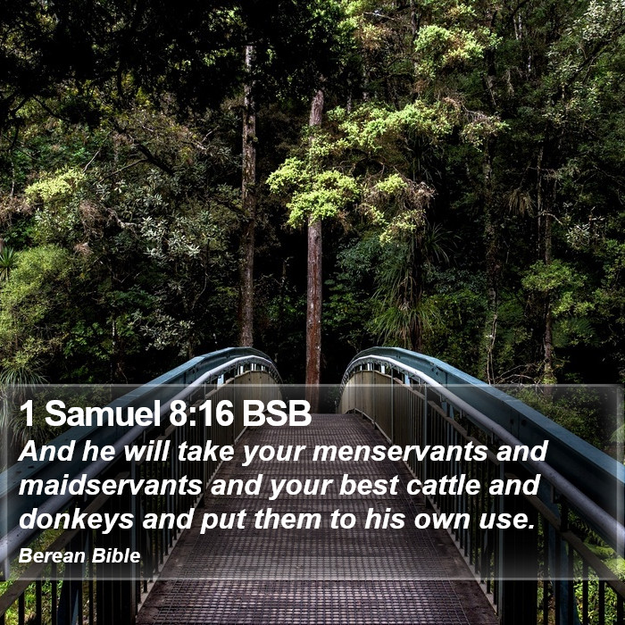 1 Samuel 8:16 BSB Bible Study