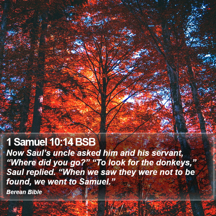 1 Samuel 10:14 BSB Bible Study