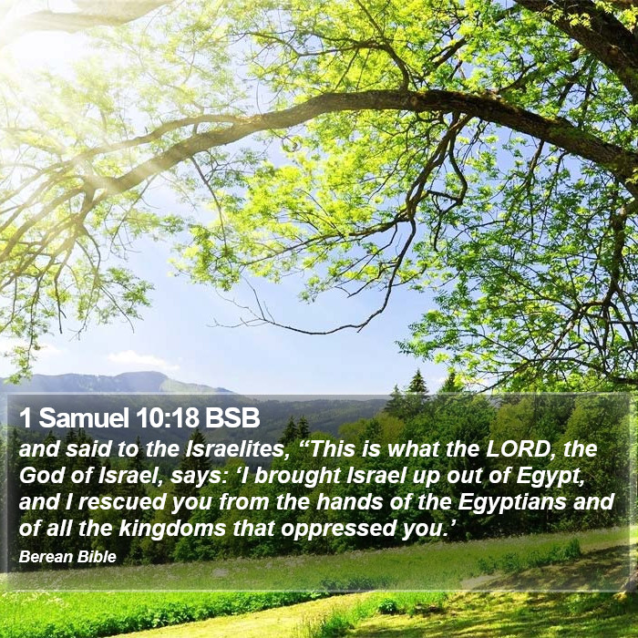 1 Samuel 10:18 BSB Bible Study