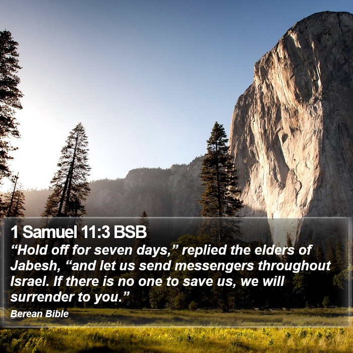 1 Samuel 11:3 BSB Bible Study