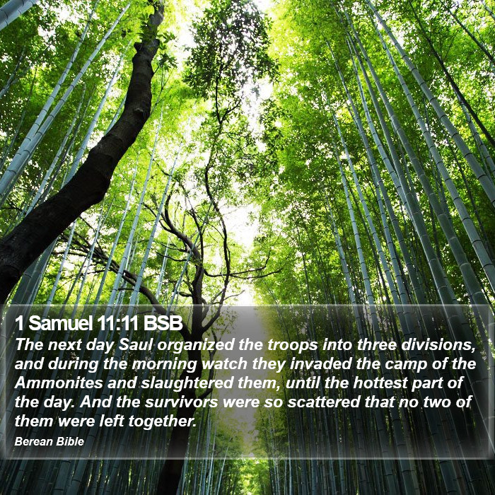 1 Samuel 11:11 BSB Bible Study