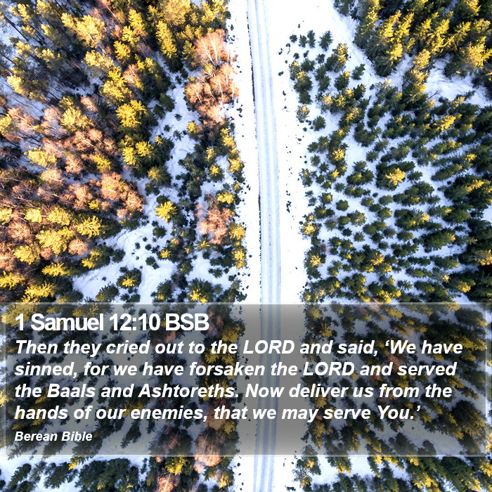 1 Samuel 12:10 BSB Bible Study