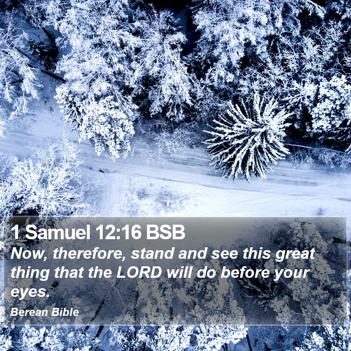 1 Samuel 12:16 BSB Bible Study