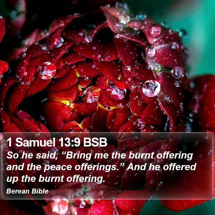 1 Samuel 13:9 BSB Bible Study