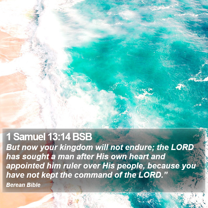 1 Samuel 13:14 BSB Bible Study