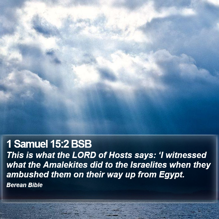 1 Samuel 15:2 BSB Bible Study