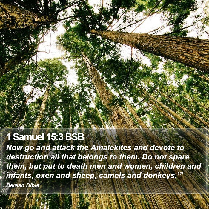 1 Samuel 15:3 BSB Bible Study