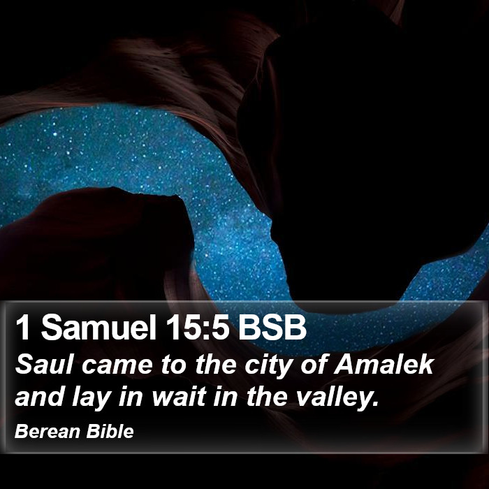 1 Samuel 15:5 BSB Bible Study