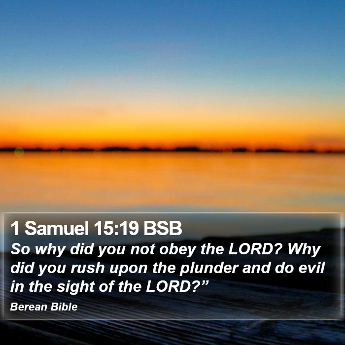 1 Samuel 15:19 BSB Bible Study