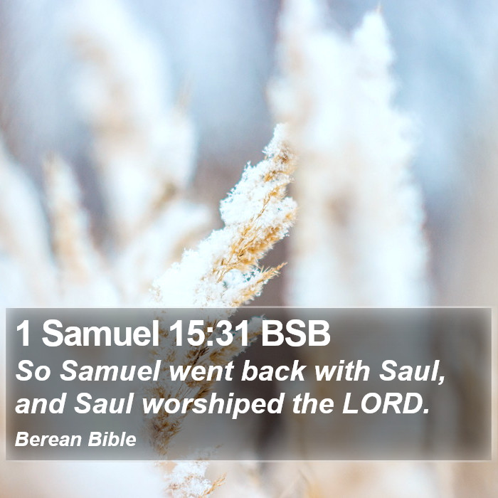 1 Samuel 15:31 BSB Bible Study